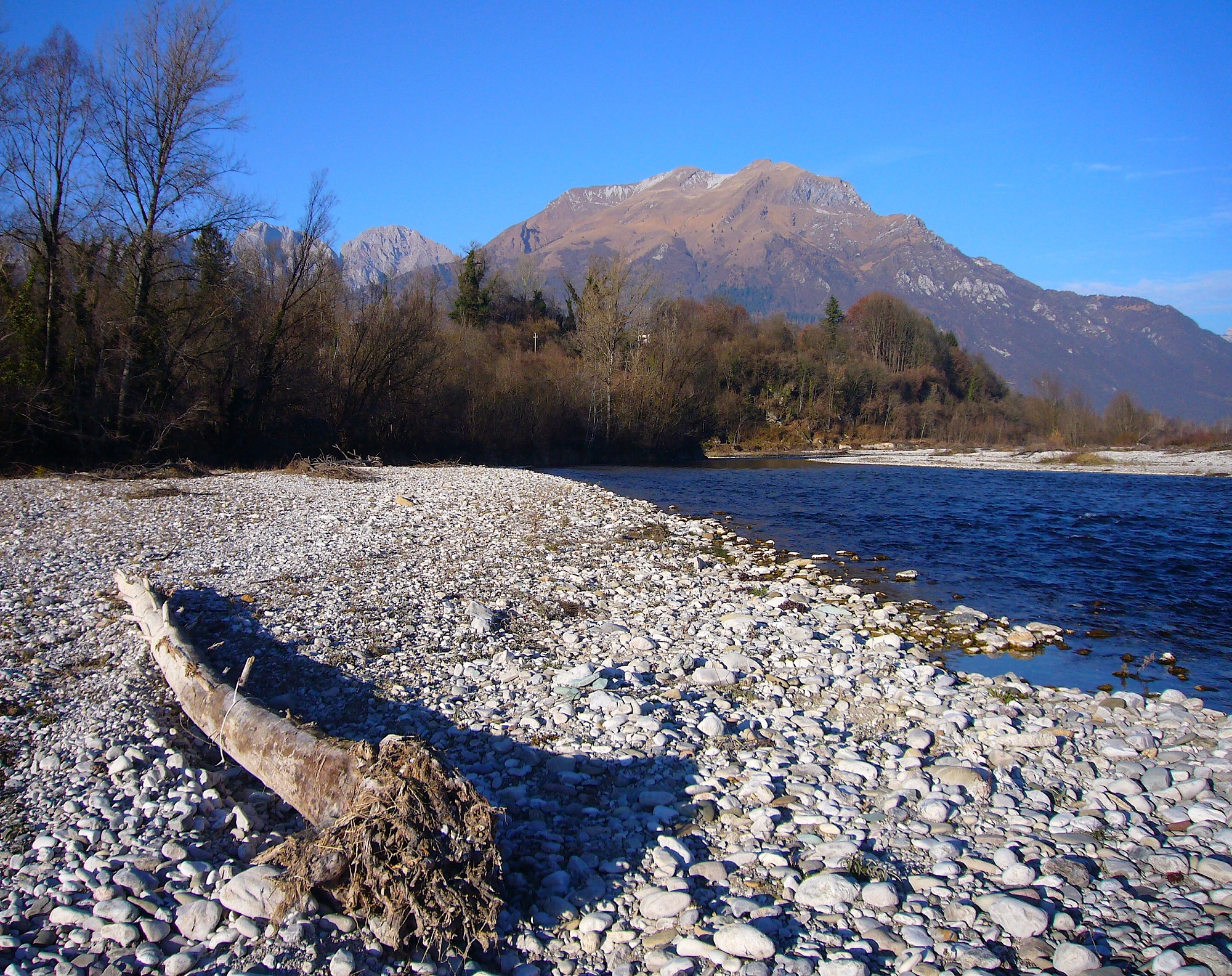 Raboso: la rabbia fatta vino tra le ville della Piave