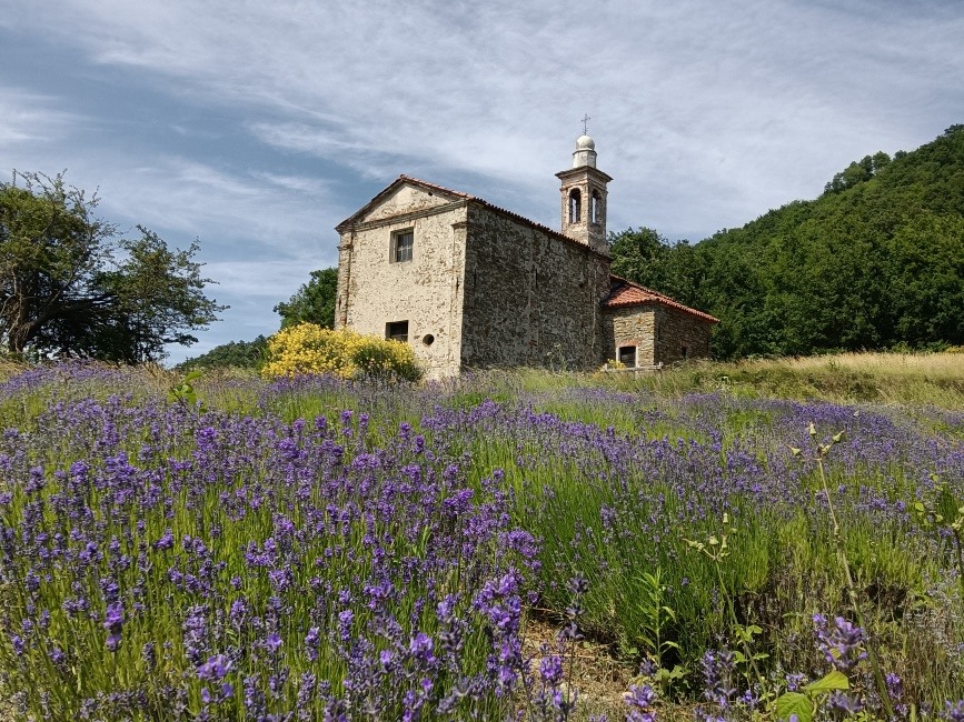 “Le Langhette”: where to discover the flavors of Alta Langa