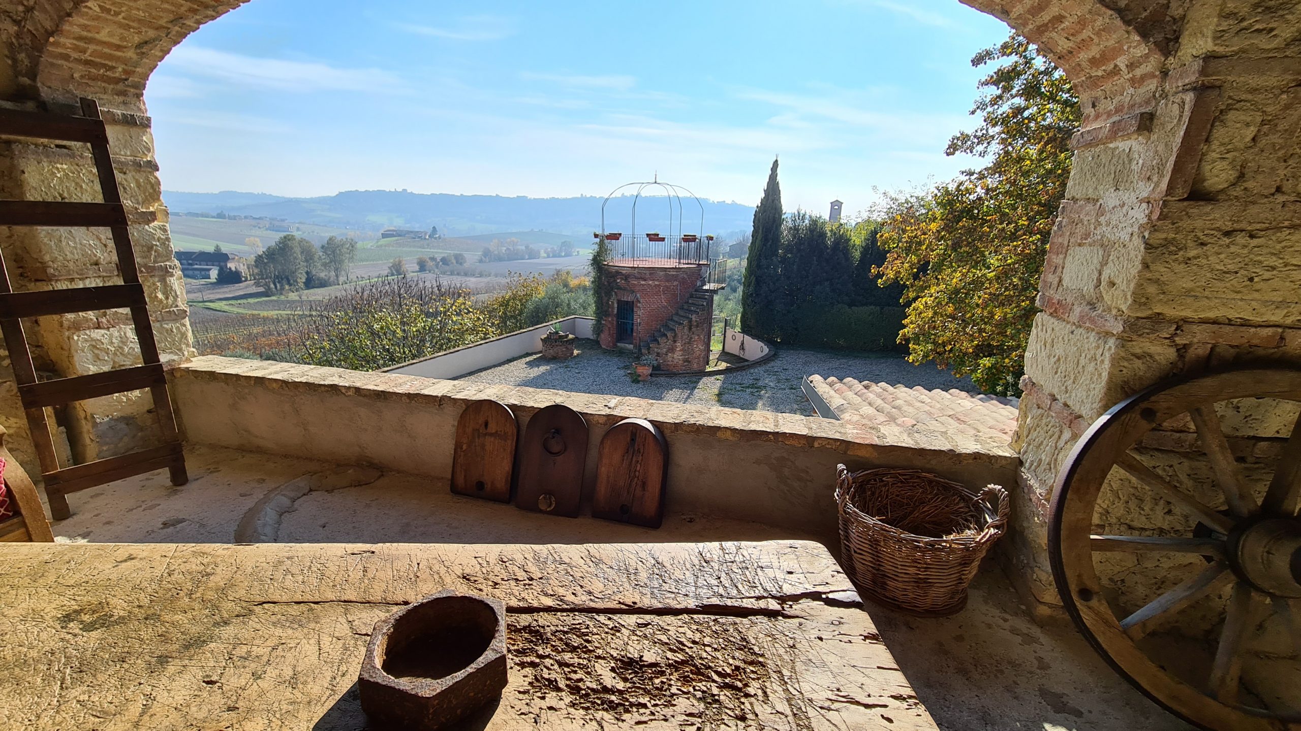 Untamable wines